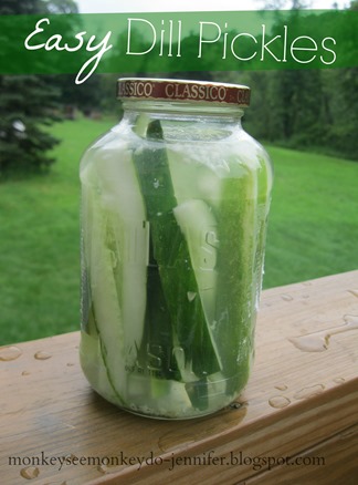 dill pickles (11)