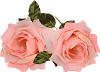oie_T3AYBZa1khJ0+(1).png