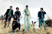 The Coronas