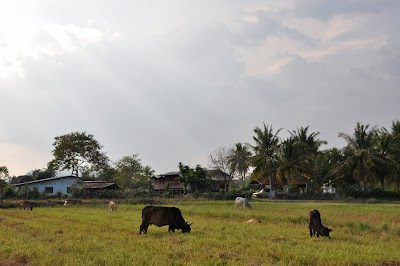 DSC_0840.JPG