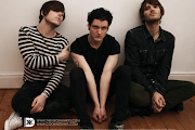 The Virginmarys