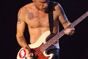 Flea