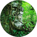Image Google de Ben Sls