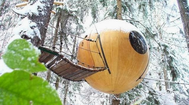 Uniknya Hotel Pohon Bola Di Pulau Vancouver Canada hotel-bola-pohon
