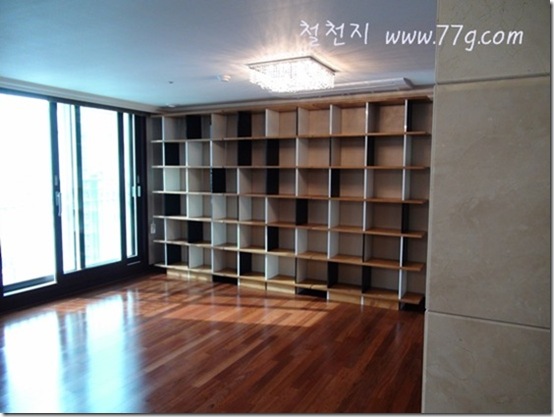 DIY1149DSC06590-20110131-125737