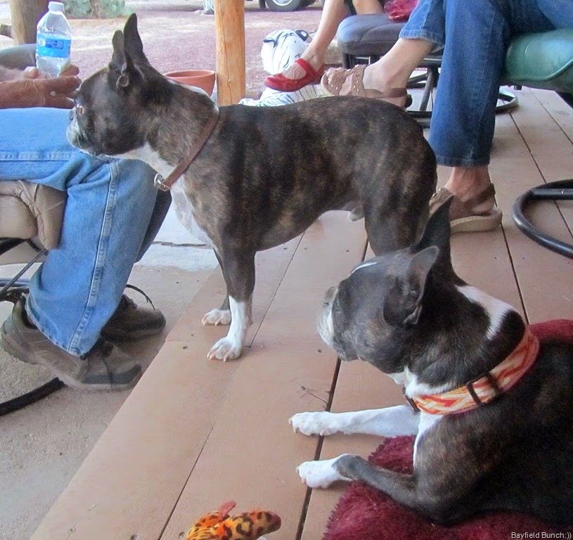 [IMG_1721%255B5%255D.jpg]