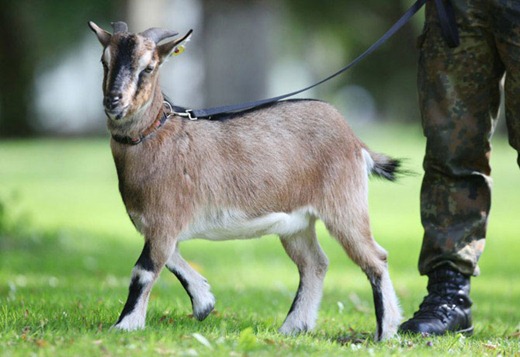 [clip_image003%255B6%255D%255B3%255D.jpg]