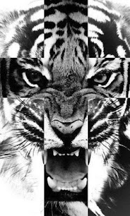Hipster HD Wallpapers Screenshots 8
