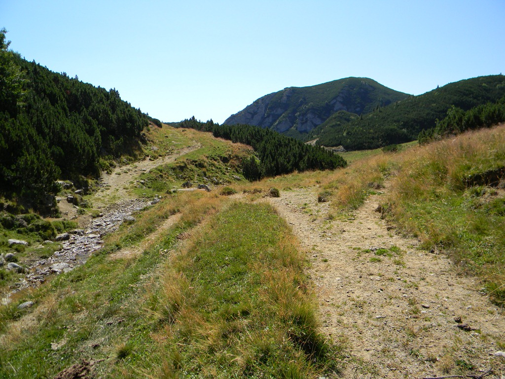 [DSCN13493.jpg]