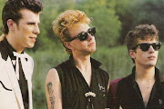 Stray Cats