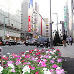 main shopping street in ginza tokyo in Tokyo, Japan 