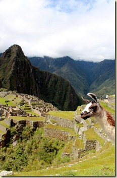machuIMG_1365 machuIMG_1365