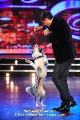 Marcelo juega con un perro.JPG