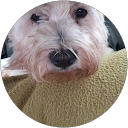 Image Google de Evelyne Faure
