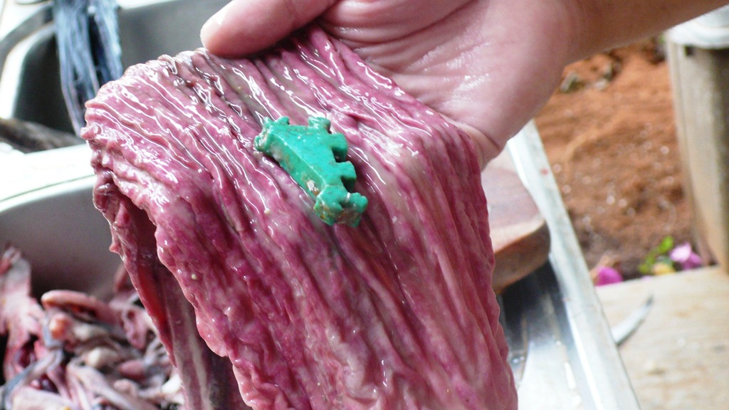 [L1330664%255B2%255D.jpg]