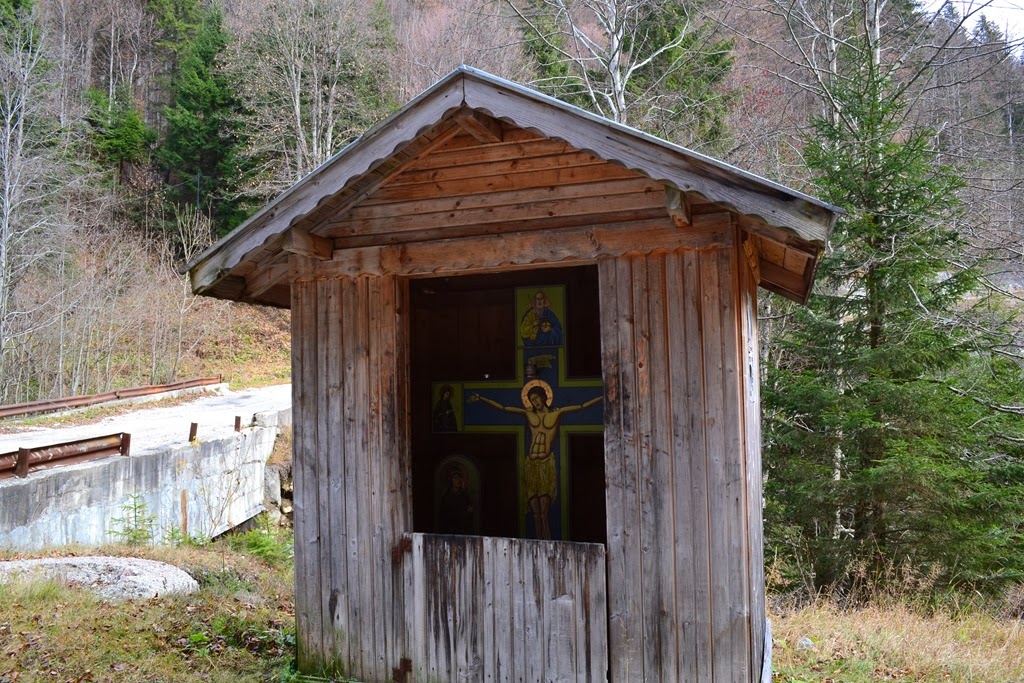 [DSC_03193.jpg]