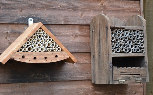 Insect houses