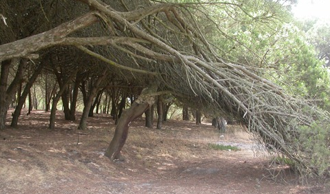 [image%255B16%255D.png]