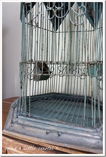 bird cage_edited-1