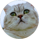 Image Google de claudine sourrouille