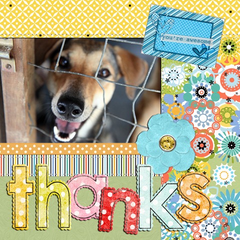 [thankyou15.jpg]