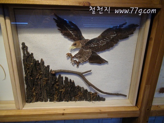 [77gDSC08073-20110419-142100%255B3%255D.jpg]