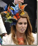 butterfly hat