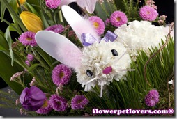 conejos con flor (9)