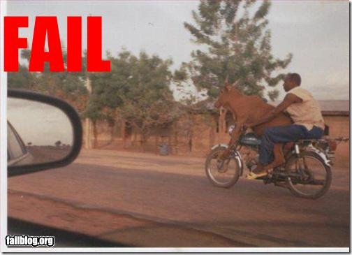 fail colitiscronica (15)