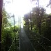 Canopy - Santa Elena / Monteverde, Costa Rica monteverde_037.jpg