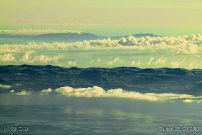 IMG_2252 IMG_2252