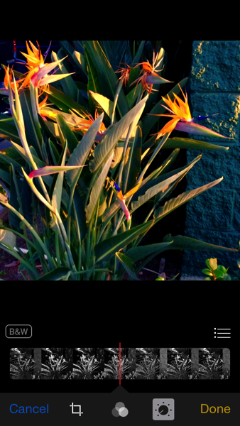 IMG_7962.PNG iOS 8 photos app black and white