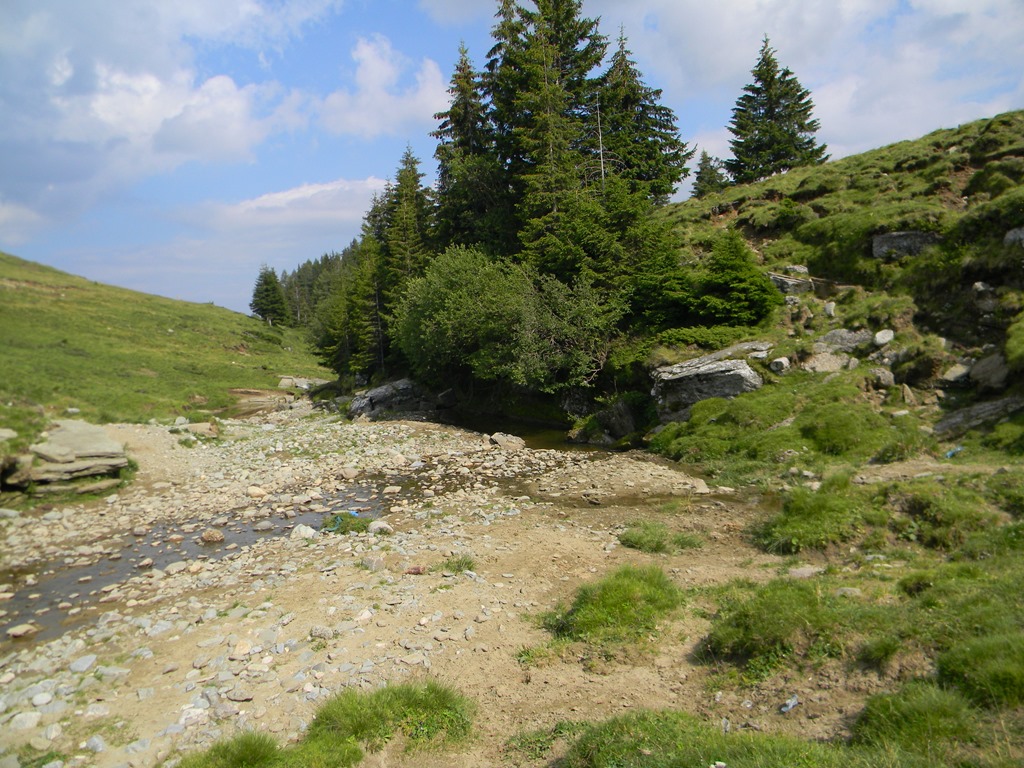 [DSCN36243.jpg]