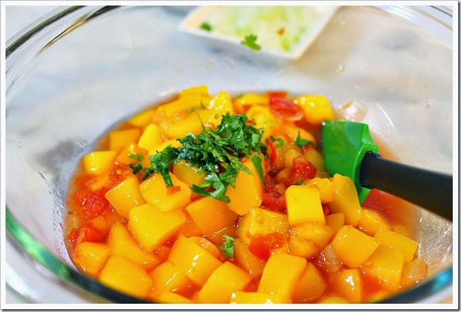 Quick & Easy Mango Salsa | Cook all your favorite dishes