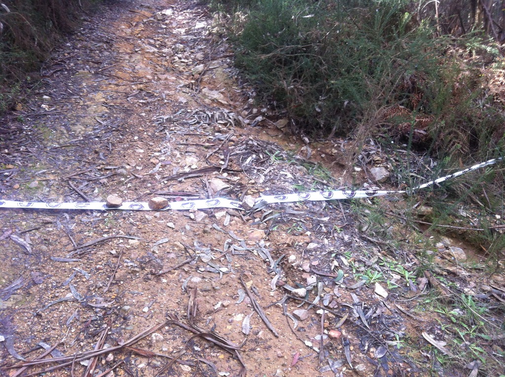 [IMG_2893%255B3%255D.jpg]