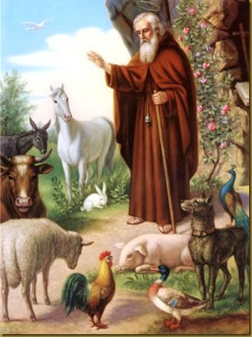 SAN ANTONIO ABAD