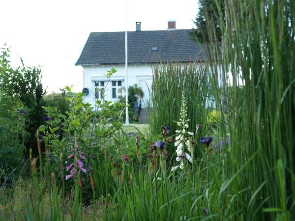 2012-06-27 Hagen på Møll (89)