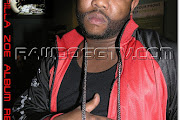 Gorilla Zoe