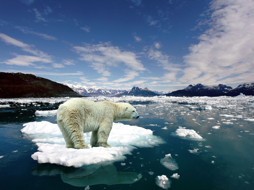 [melting-ice-polar-bear-on-2063113.jpg]