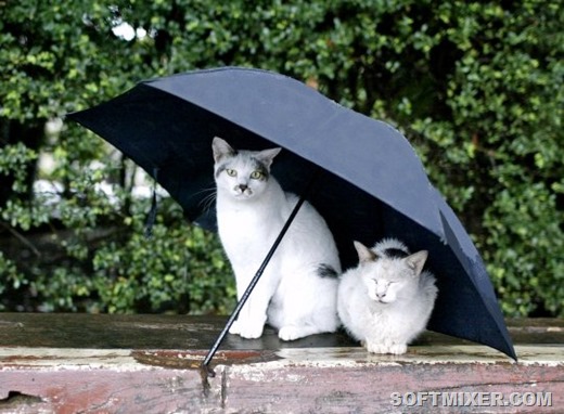 [134002001878%255B4%255D.jpg]