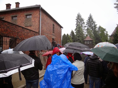 19. Pe ploaie la Auschwitz.JPG