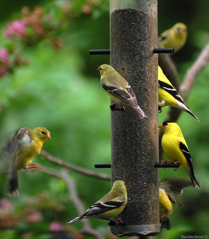 [DSC_3902%255B2%255D.jpg]