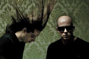 Infected Mushroom