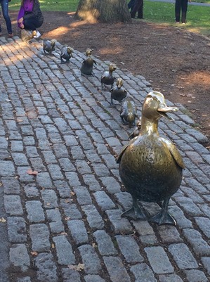make way for ducklings (1 of 1)