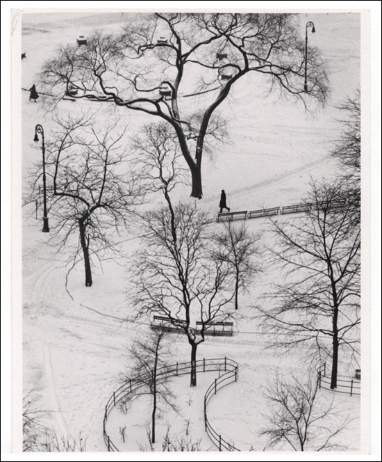 Fotografia de André Kertész, Inverno de 1954