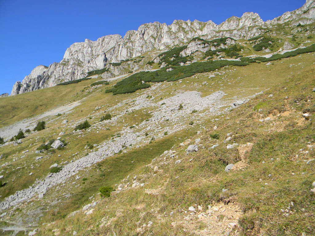 [DSCN17253.jpg]