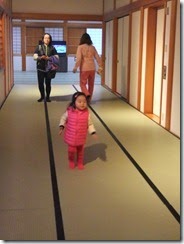 DSCF2246 DSCF2246