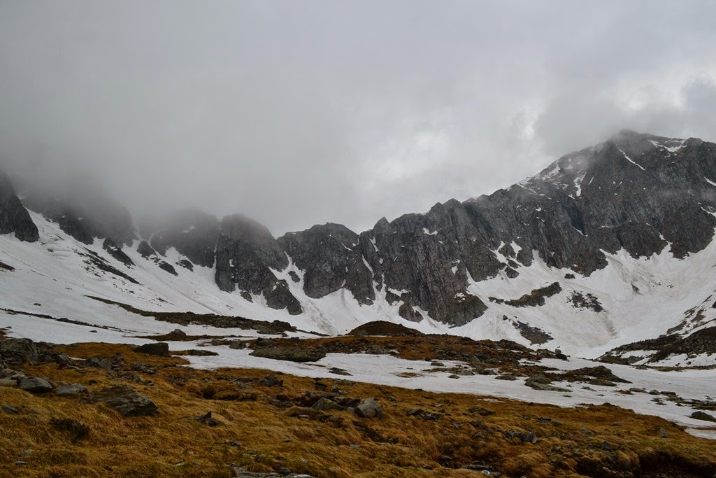 [DSC_18913.jpg]