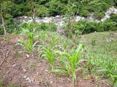 DSCN8882.JPG
