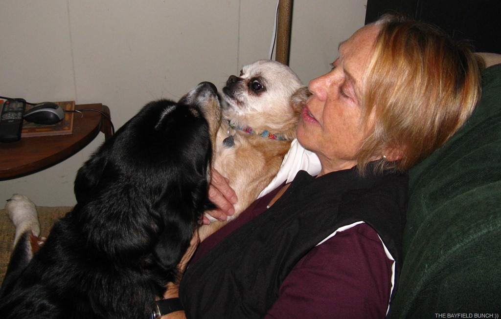 [IMG_2960%255B3%255D.jpg]